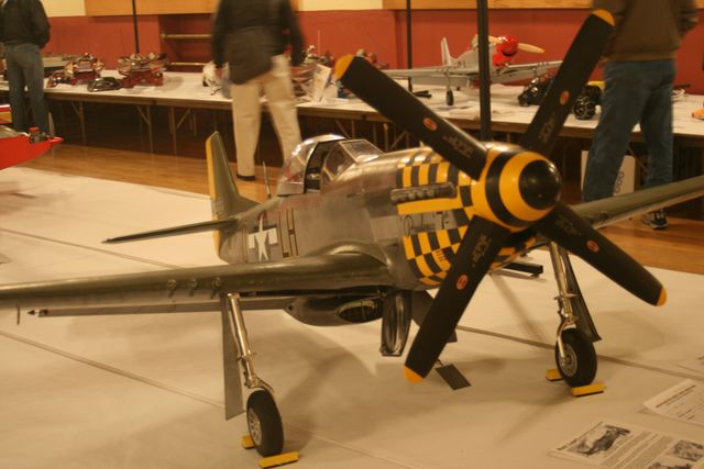 ziroli p51